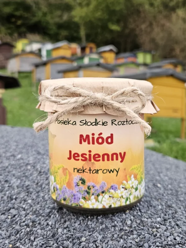 Miód jesienny - obrazek 3