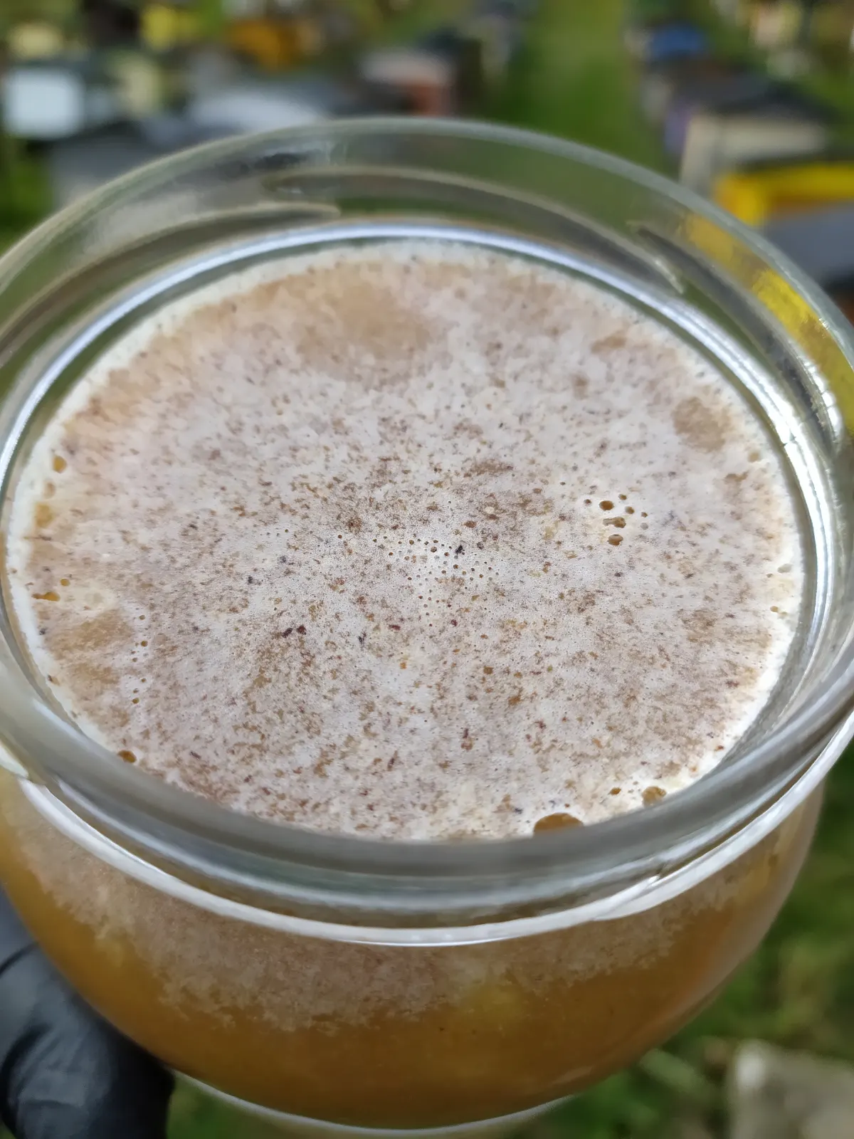 Miód Jesienny - obrazek 6