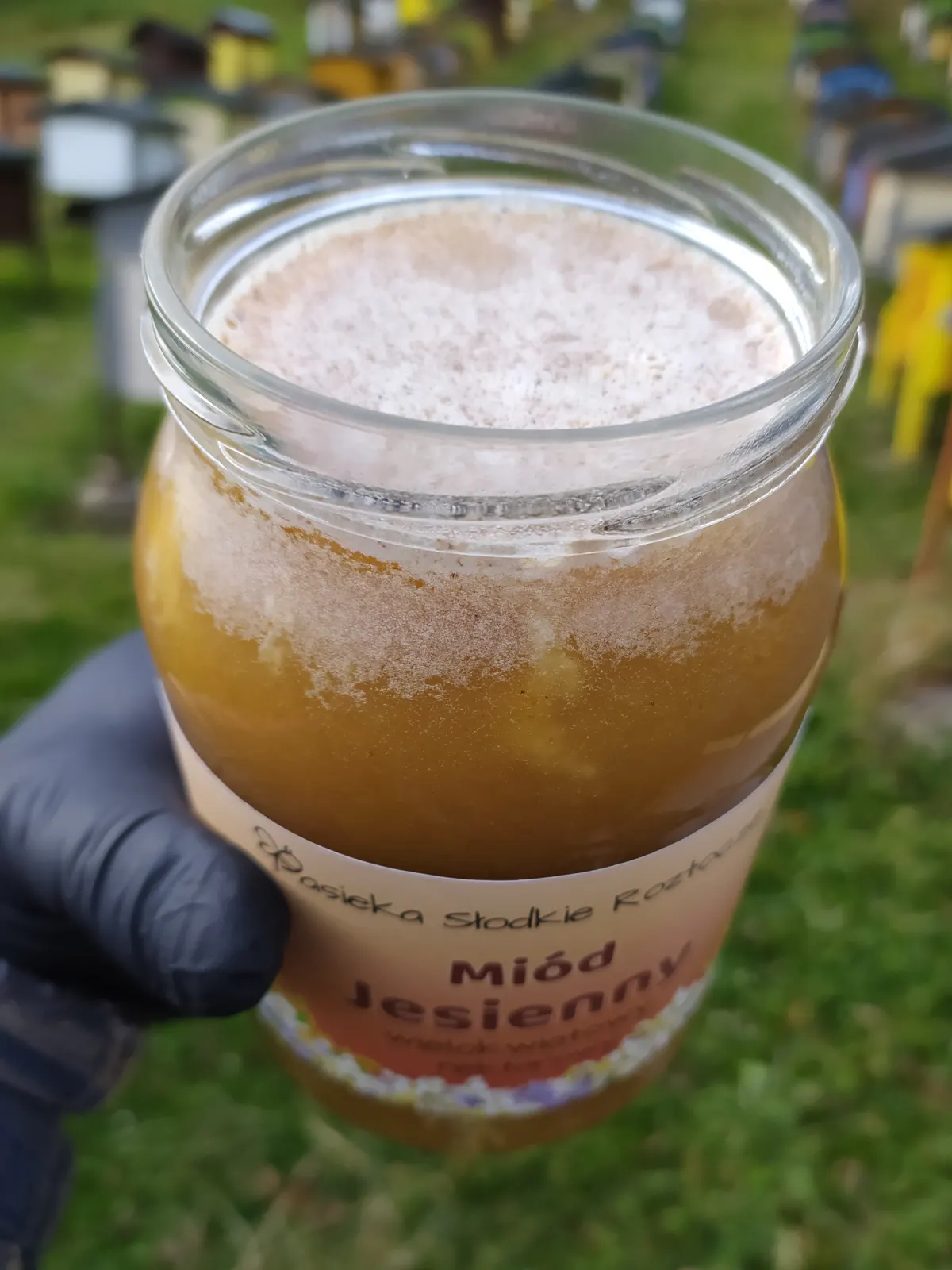 Miód Jesienny - obrazek 5