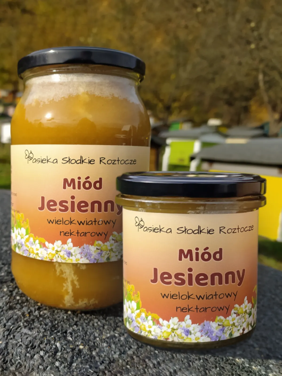 Miód jesienny zdj 2