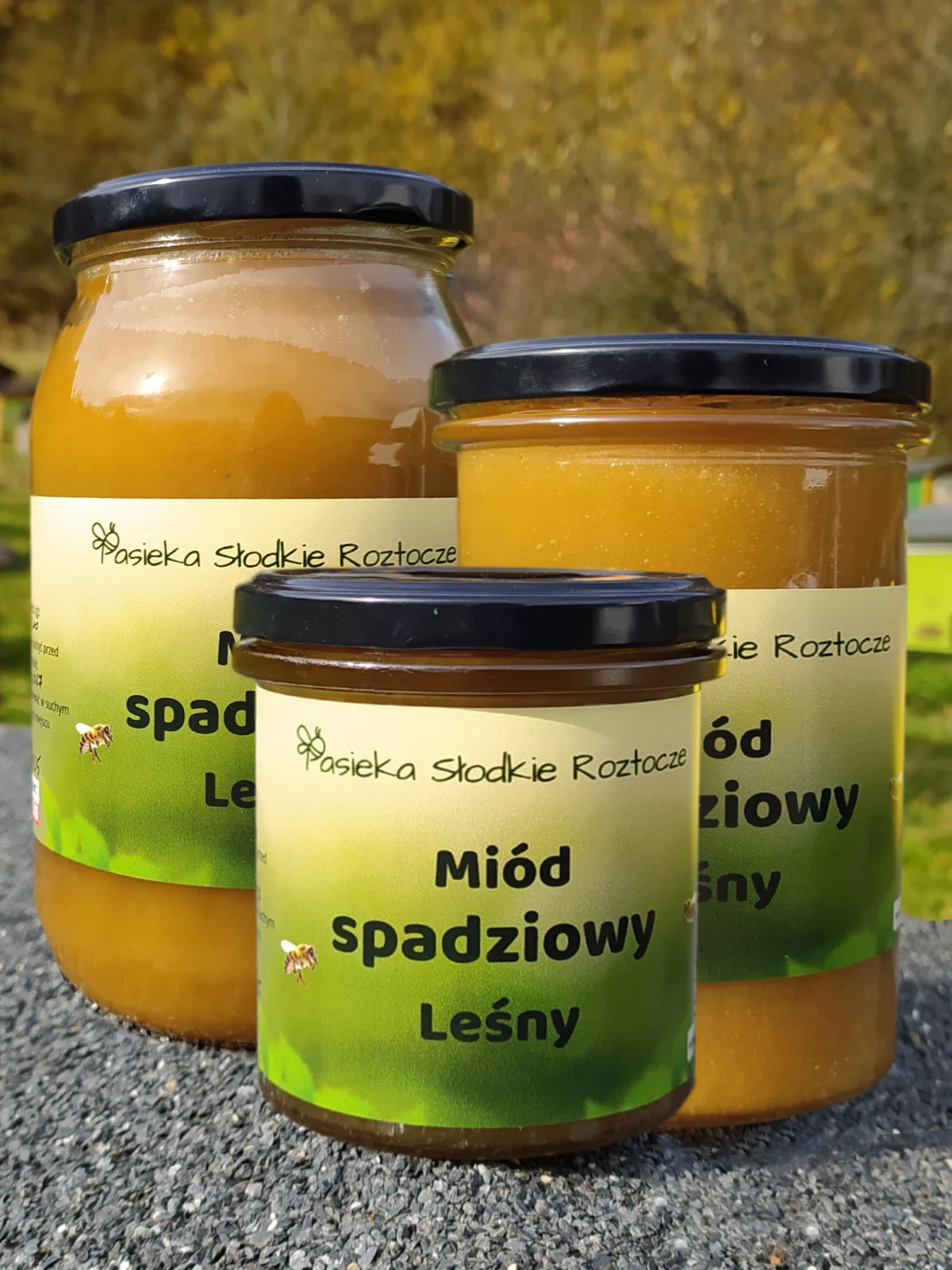 Miód spadziowy Leśny zdj.2