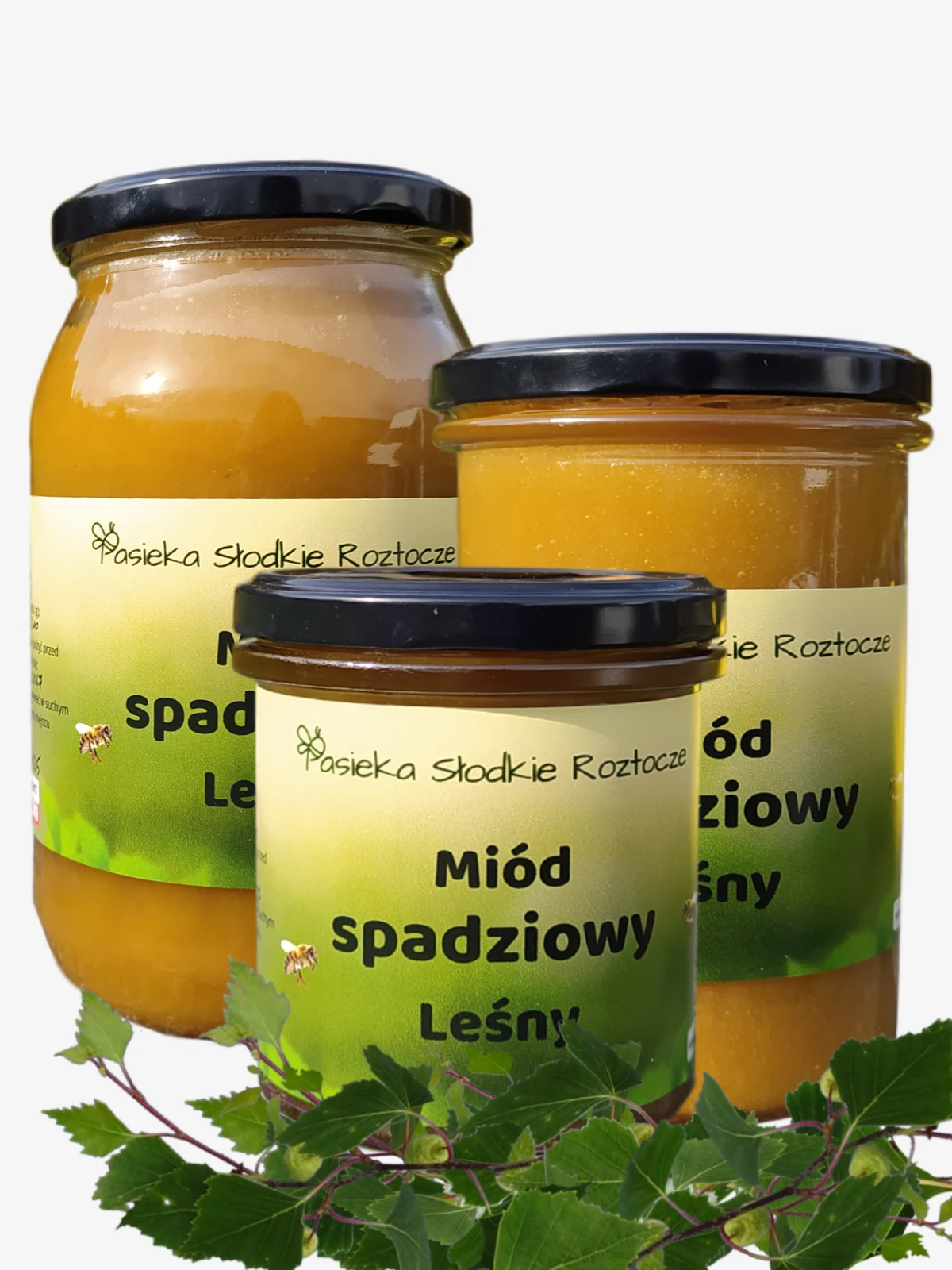 Miód spadziowy Leśny